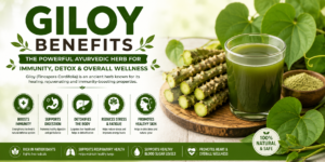 Giloy Benefits
